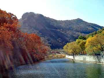 新澳天天开奖资料大全旅游团，精河seo服务